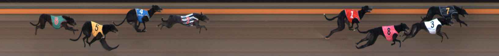 Photo finish for Ballarat Race 2