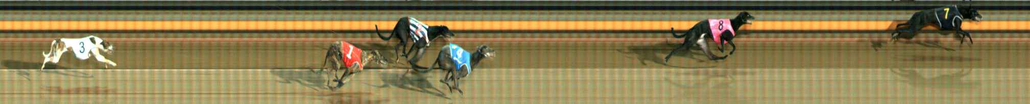 Photo finish for Ballarat Race 4