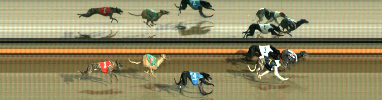 Photo finish for Ballarat Race 5
