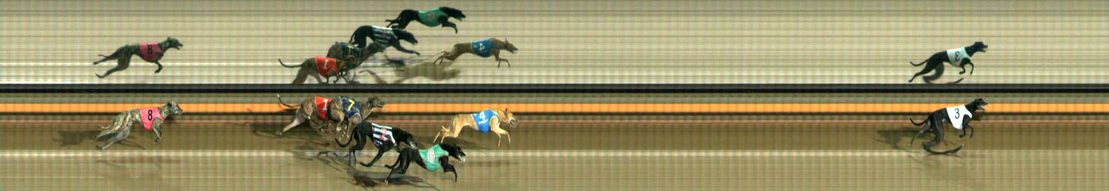Photo finish for Ballarat Race 6