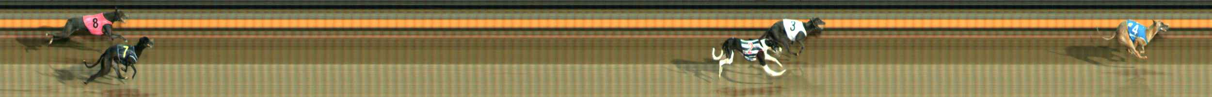 Photo finish for Ballarat Race 9