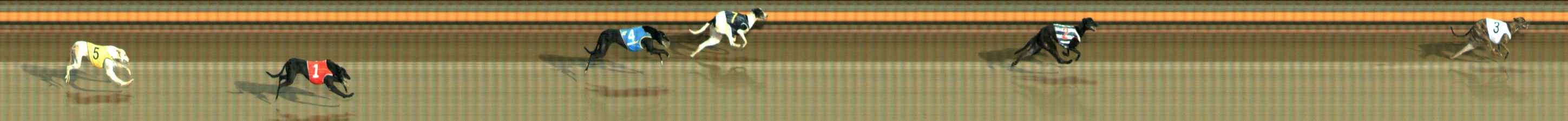 Photo finish for Ballarat Race 10