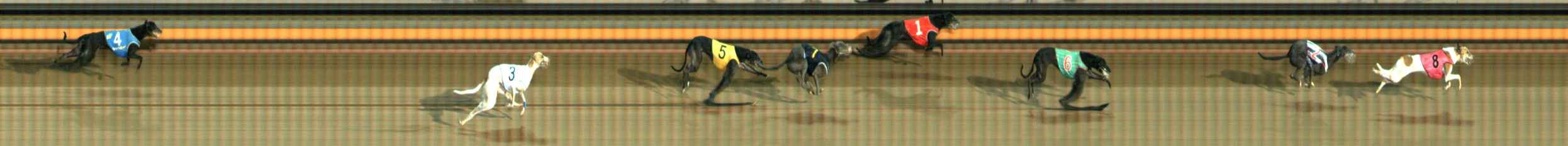 Photo finish for Ballarat Race 11