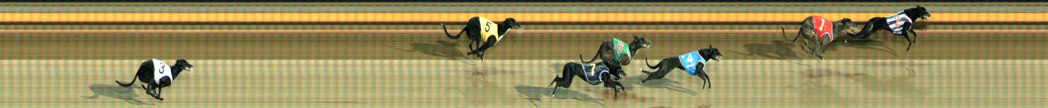 Photo finish for Ballarat Race 2