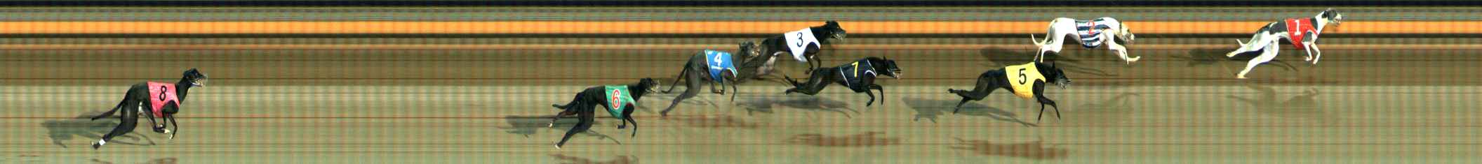 Photo finish for Ballarat Race 5