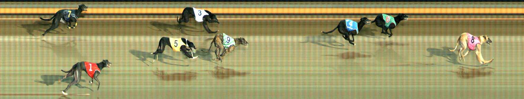 Photo finish for Ballarat Race 6