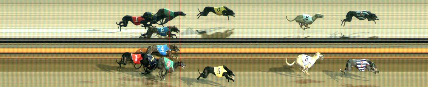 Photo finish for Ballarat Race 9