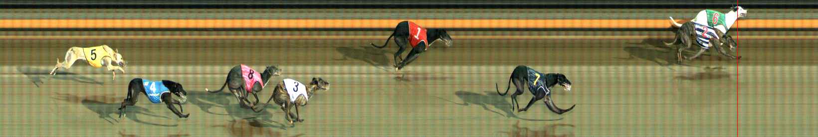 Photo finish for Ballarat Race 11