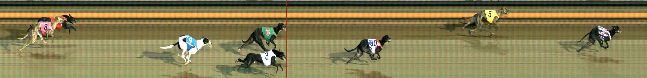 Photo finish for Ballarat Race 12