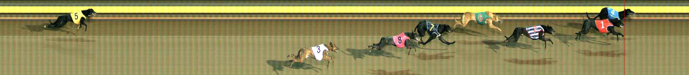Photo finish for Ballarat Race 1