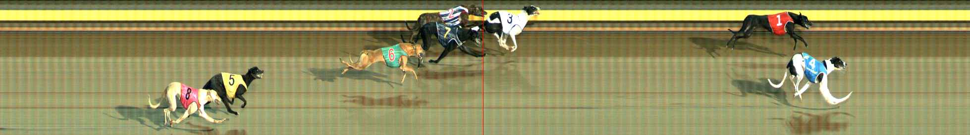 Photo finish for Ballarat Race 2