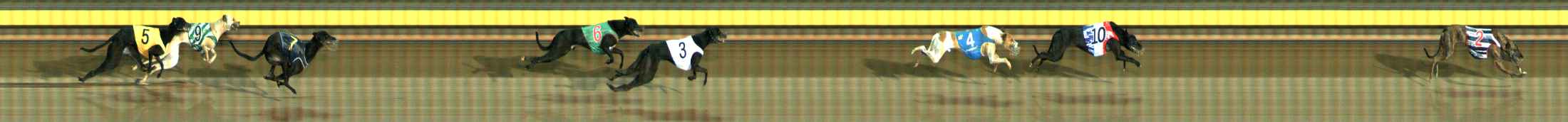 Photo finish for Ballarat Race 3