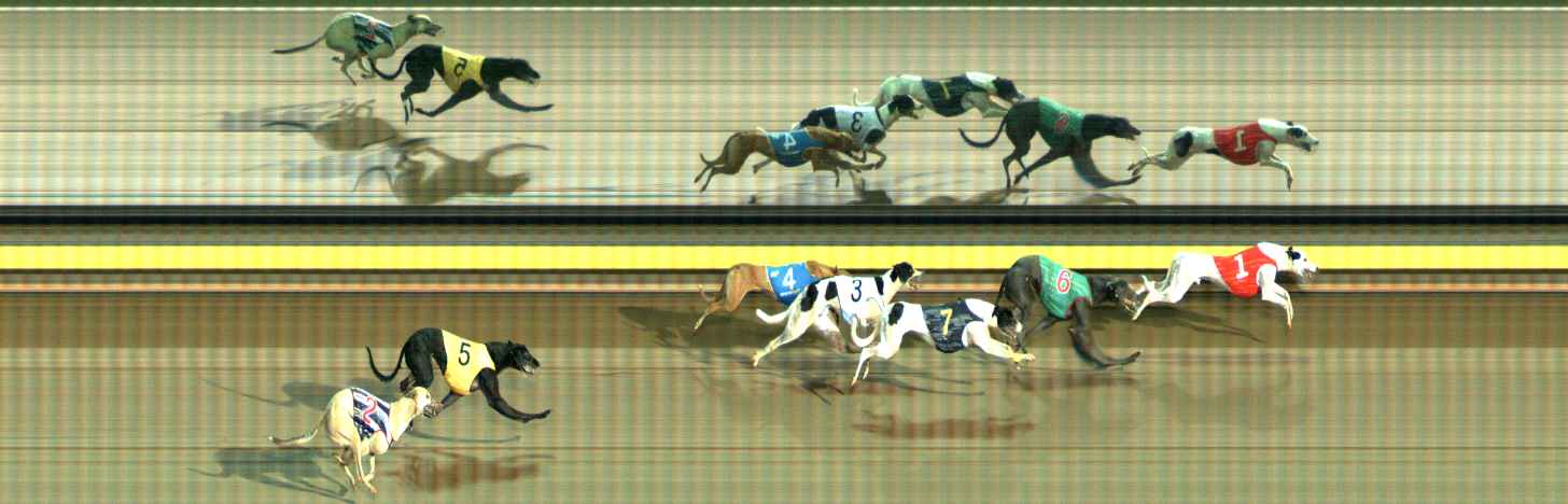 Photo finish for Ballarat Race 6