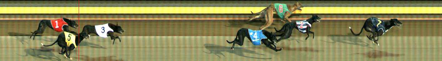 Photo finish for Ballarat Race 9