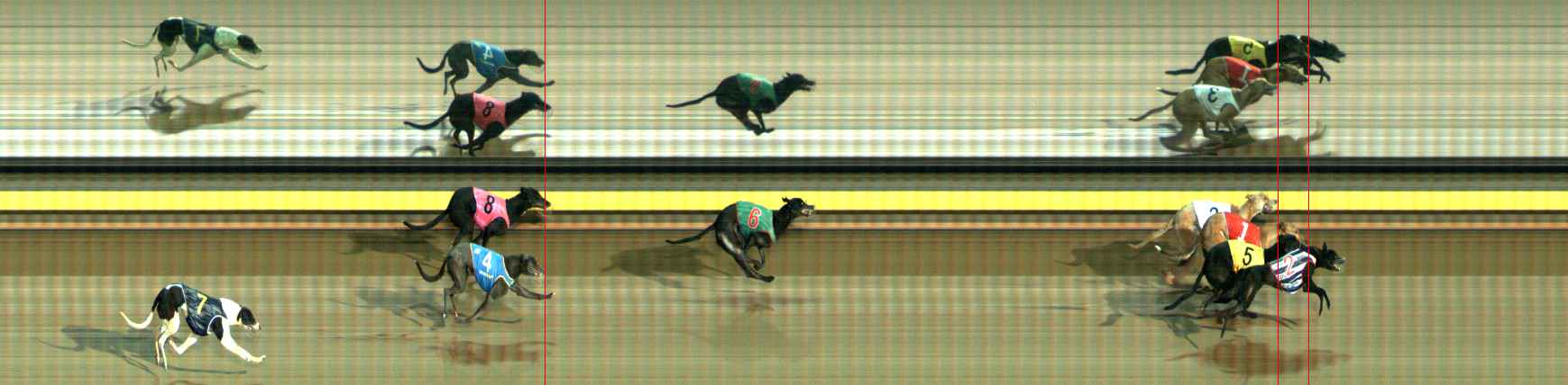 Photo finish for Ballarat Race 10