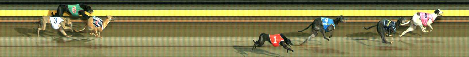 Photo finish for Ballarat Race 12
