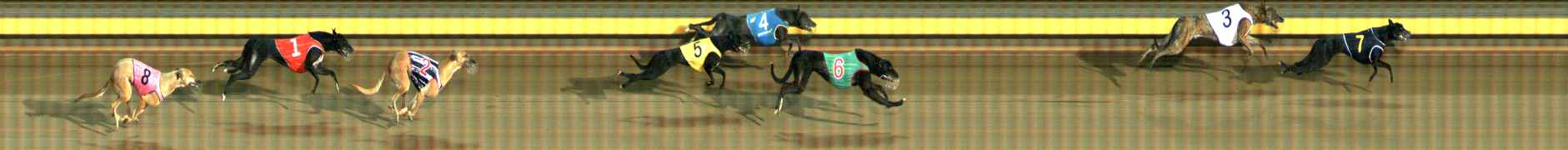 Photo finish for Ballarat Race 1