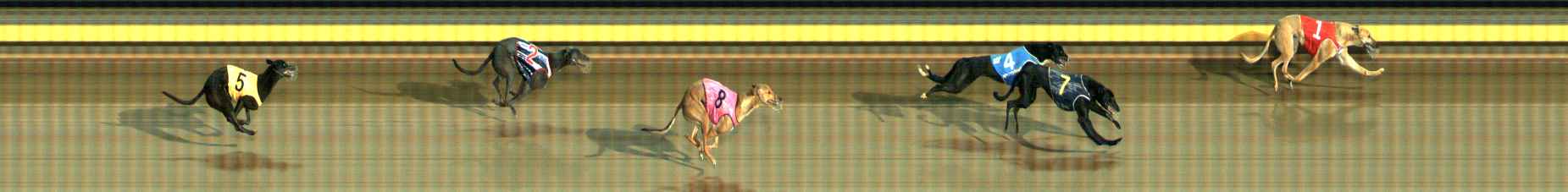 Photo finish for Ballarat Race 2