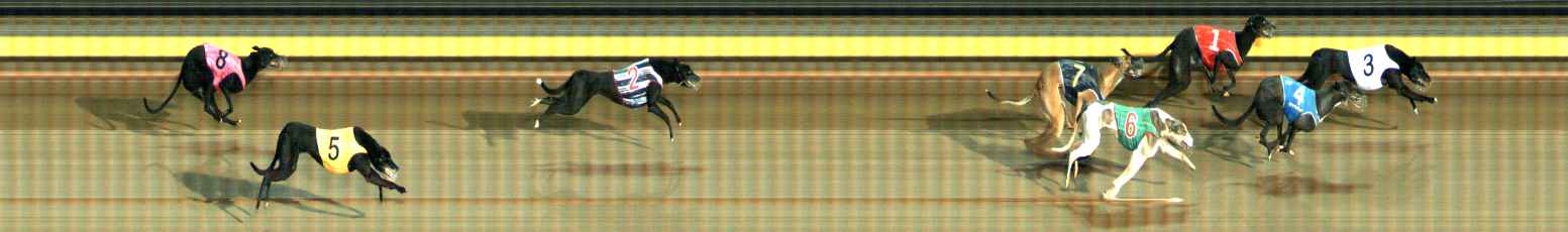 Photo finish for Ballarat Race 5