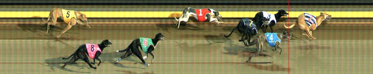 Photo finish for Ballarat Race 6