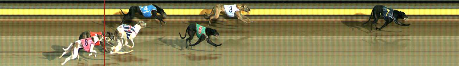 Photo finish for Ballarat Race 8