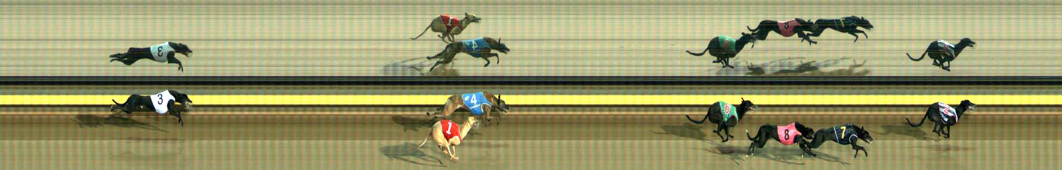 Photo finish for Ballarat Race 9