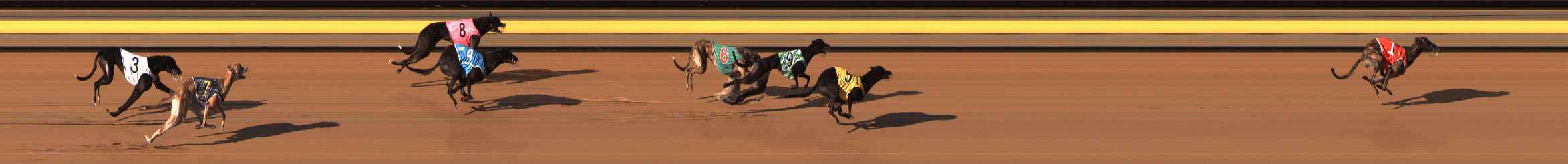 Photo finish for Ballarat Race 1