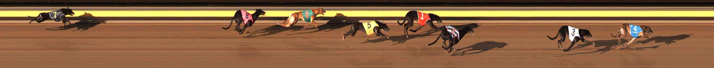 Photo finish for Ballarat Race 4