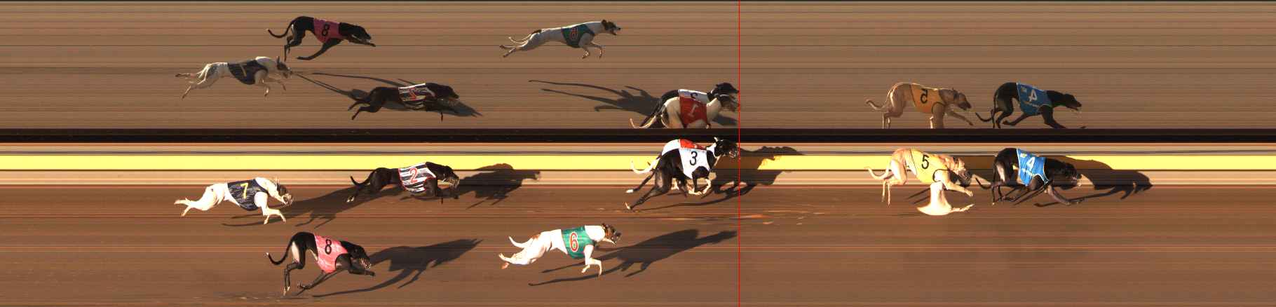 Photo finish for Ballarat Race 6