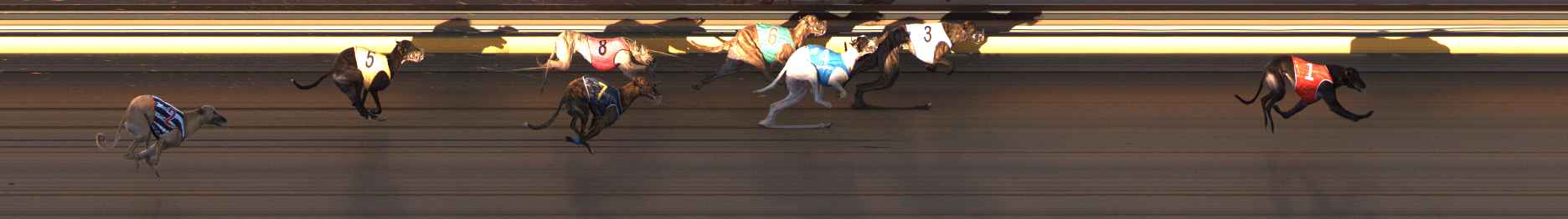 Photo finish for Ballarat Race 8