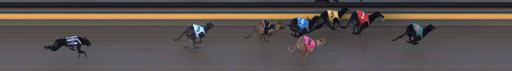 Photo finish for Ballarat Race 10