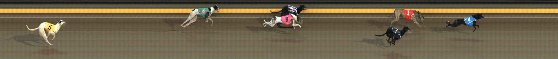 Photo finish for Ballarat Race 11