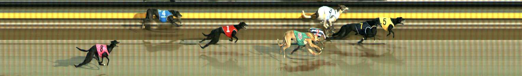 Photo finish for Ballarat Race 1