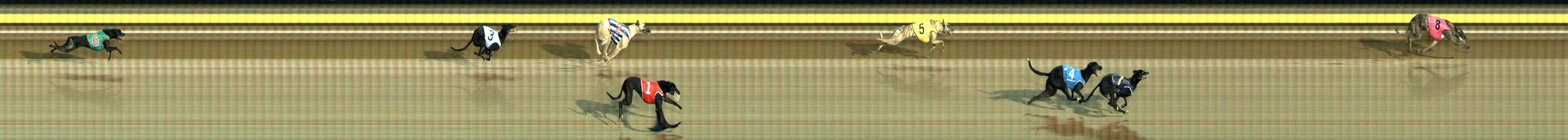 Photo finish for Ballarat Race 3