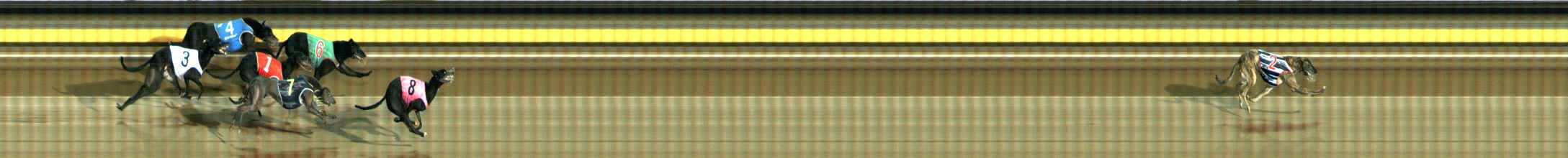 Photo finish for Ballarat Race 4