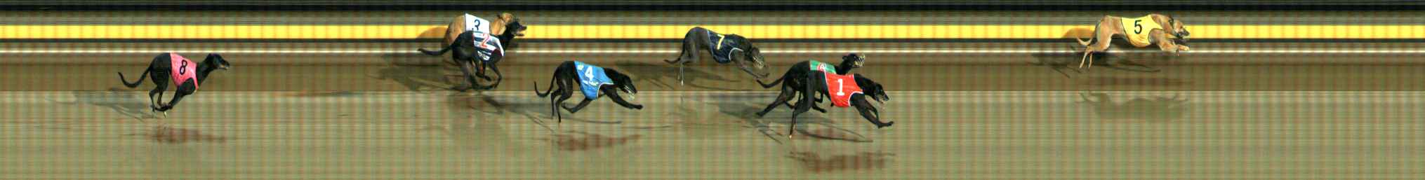 Photo finish for Ballarat Race 5