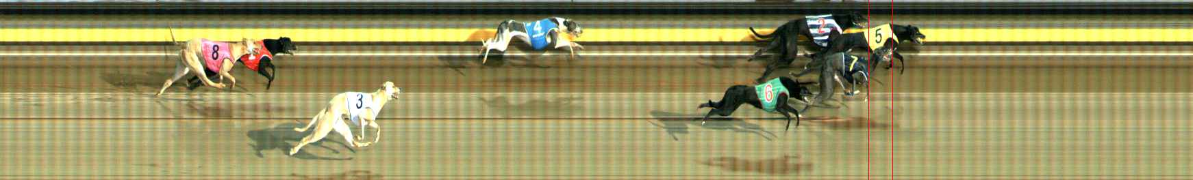 Photo finish for Ballarat Race 6