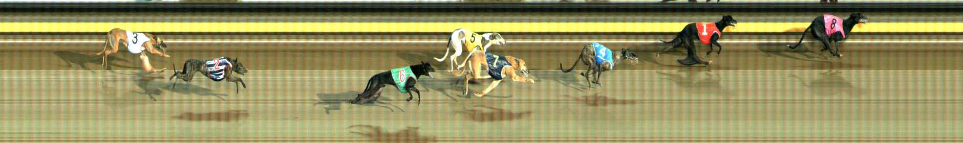 Photo finish for Ballarat Race 7