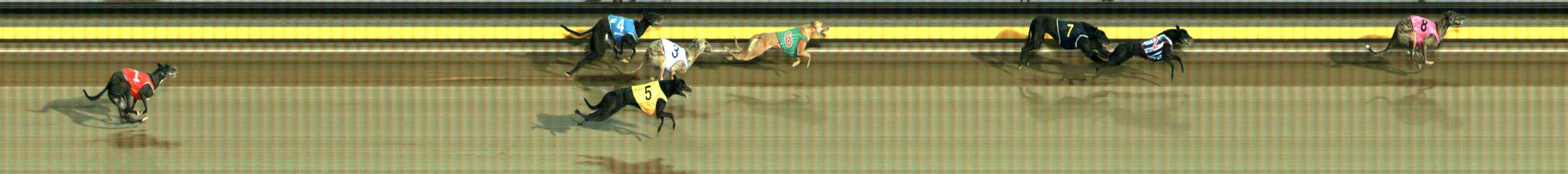 Photo finish for Ballarat Race 8