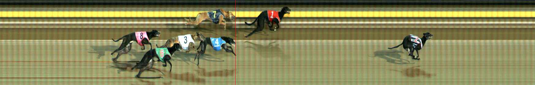 Photo finish for Ballarat Race 11