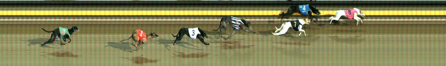 Photo finish for Ballarat Race 12