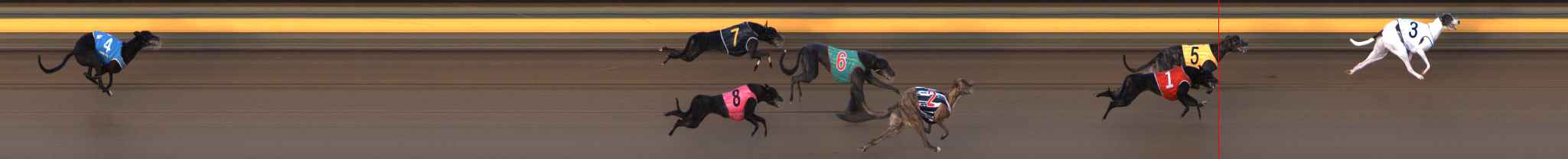 Photo finish for Ballarat Race 9