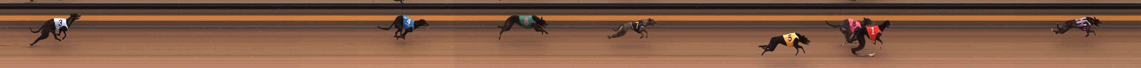 Photo finish for Ballarat Race 2