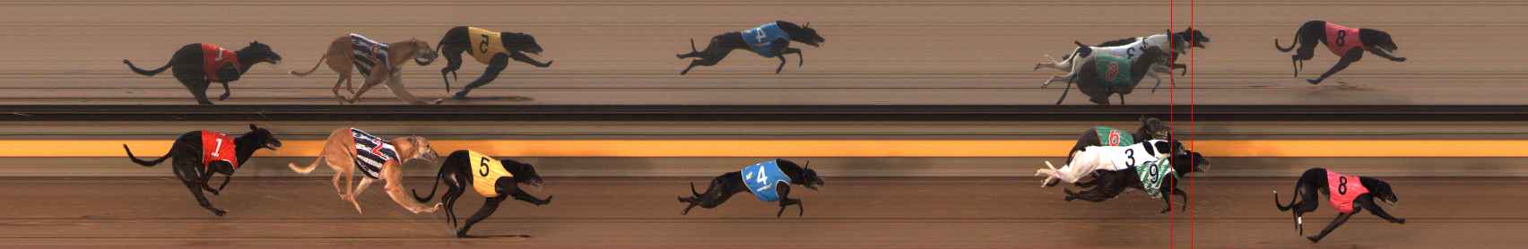 Photo finish for Ballarat Race 4