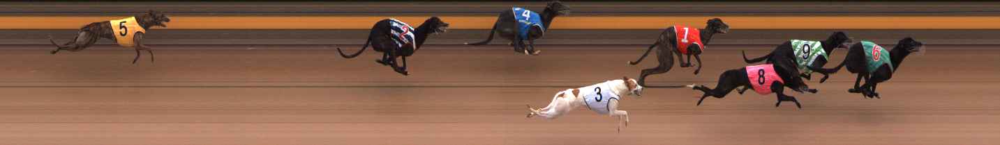 Photo finish for Ballarat Race 5
