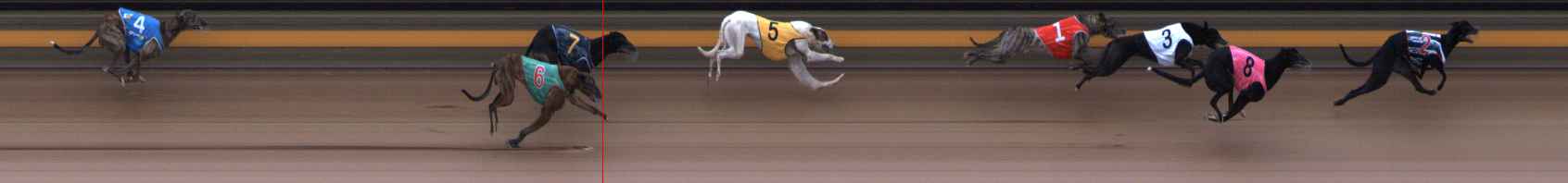 Photo finish for Ballarat Race 6