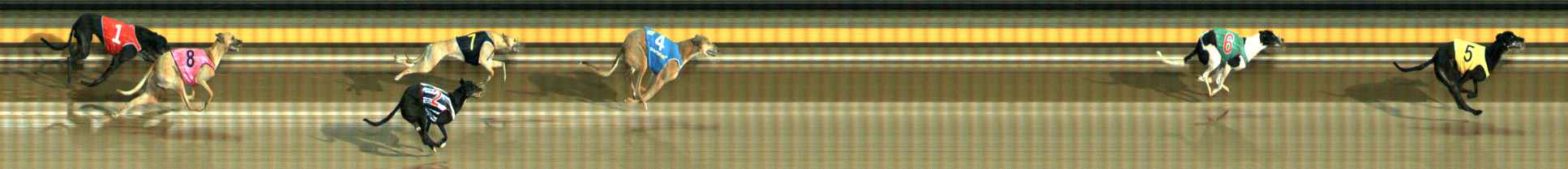 Photo finish for Ballarat Race 10