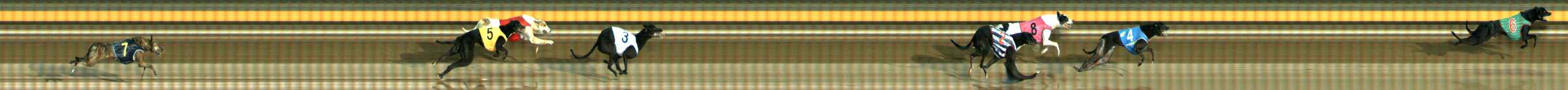 Photo finish for Ballarat Race 11