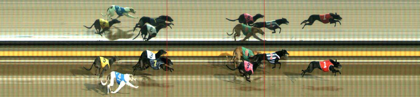 Photo finish for Ballarat Race 12