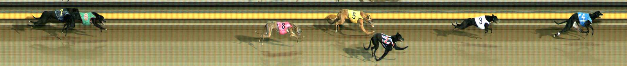 Photo finish for Ballarat Race 2
